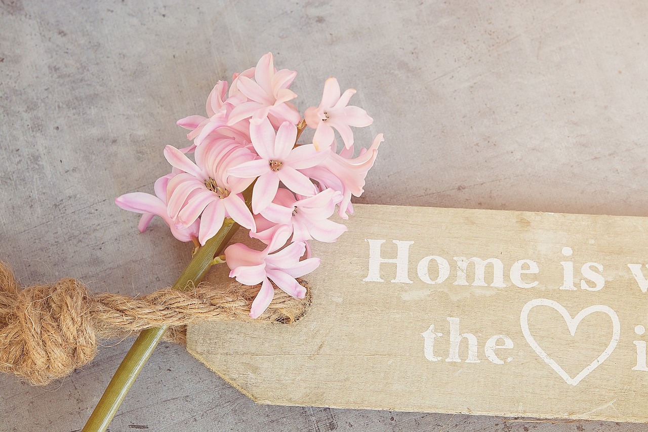 hyacinth-1399045_1280